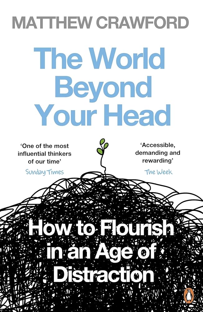 World Beyond Your Head