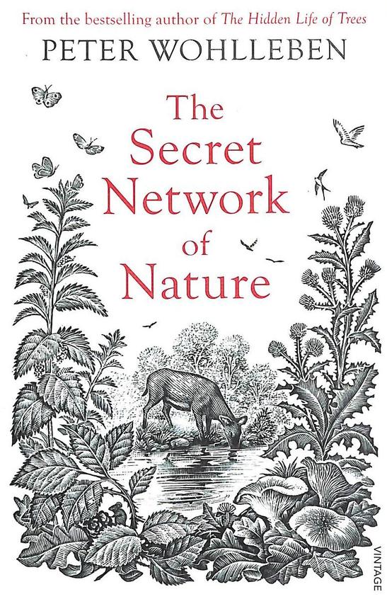 The Secret Network of Nature