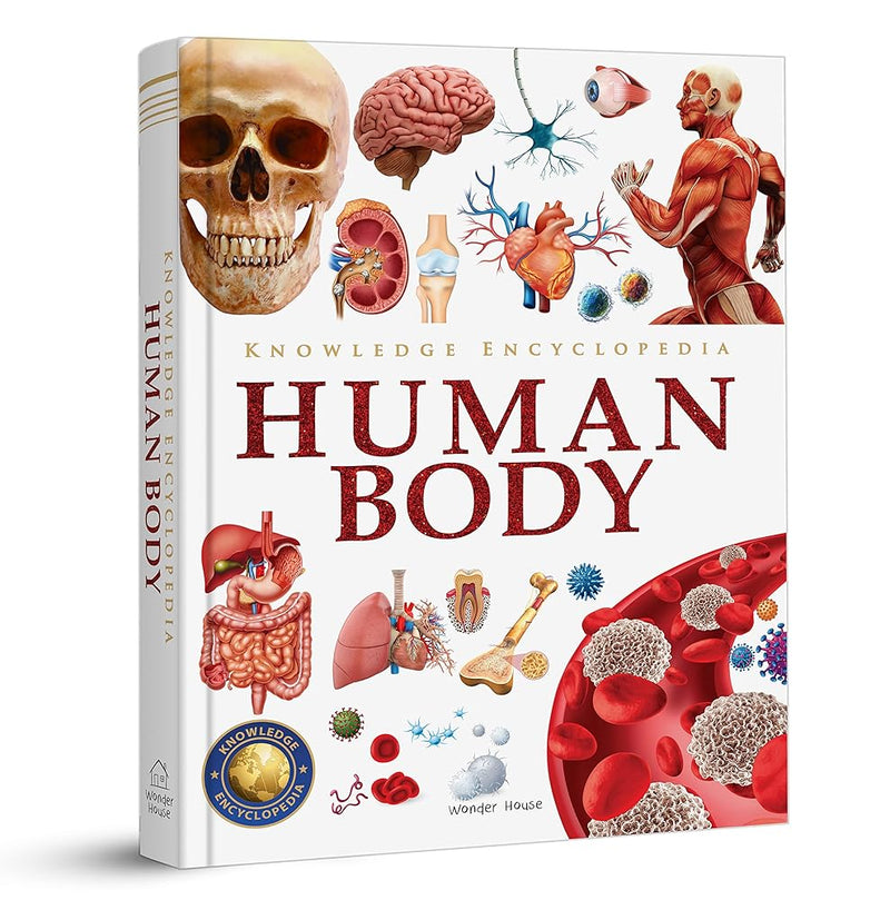 Knowledge Encyclopedia: Human Body