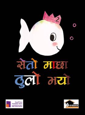 सेतो भयो ठुलो माछा [Seto Machha Thulo Bhayo]