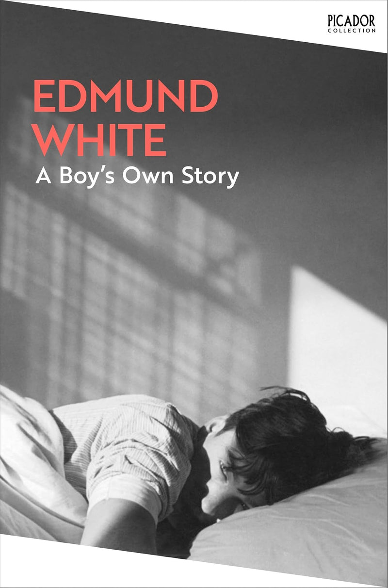 A Boy's Own Story