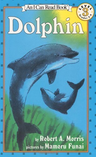 Dolphin