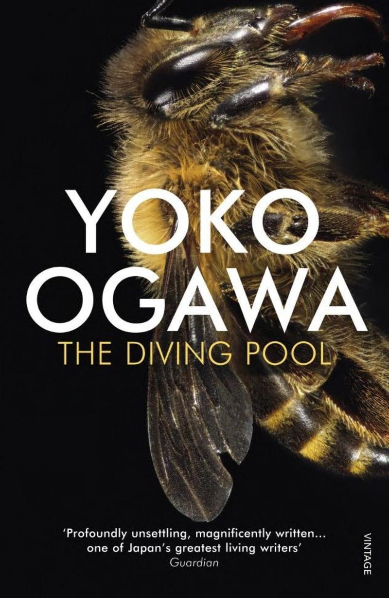 The Diving Pool