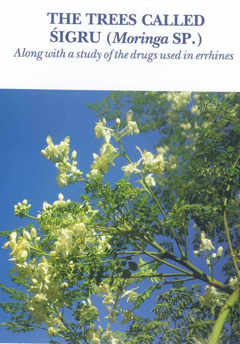 The Trees Called Sigru (Moringa Sp.)