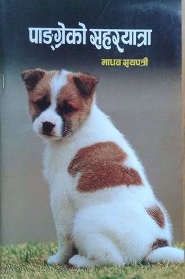 पाङ्ग्रेको सहरयात्रा [Pangreko Saharyatra]